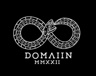 DOMAIIN MMXXII logo