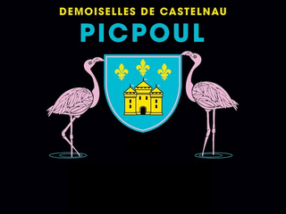DOMAINE DE CASTELNAU PICPOUL logo
