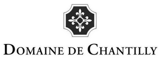 DOMAINE DE CHANTILLY logo