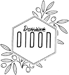DOMAINE DIDON logo