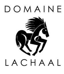 DOMAINE LACHAAL logo