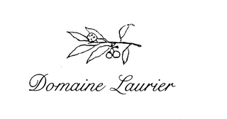 DOMAINE LAURIER logo