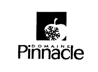DOMAINE PINNACLE logo