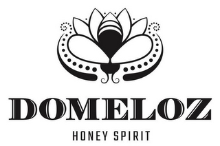 DOMELOZ HONEY SPIRIT logo