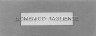 DOMENICO TAGLIENTE logo