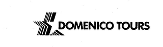 DOMENICO TOURS logo