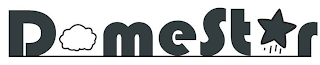 DOMESTAR logo