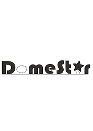 DOMESTAR logo