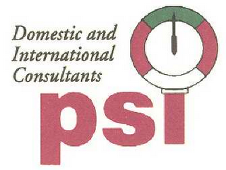 DOMESTIC AND INTERNATIONAL CONSULTANTS PSI logo