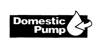 DOMESTIC PUMP logo