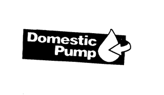 DOMESTIC PUMP logo