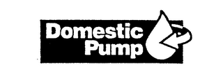 DOMESTIC PUMP logo