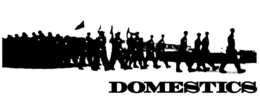 DOMESTICS logo