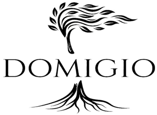 DOMIGIO logo