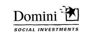 DOMINI SOCIAL INVESTMENTS logo