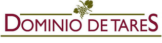 DOMINIO DE TARES logo