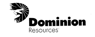 DOMINION RESOURCES logo