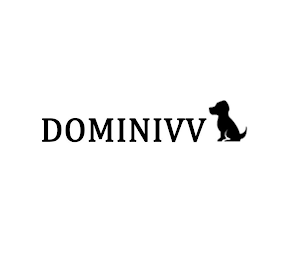 DOMINIVV logo