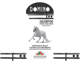 DOMINO SHAMPOO PARA EQUINOS HORSE SHAMPOO FORTALECE EL PELAJE Y ESTIMULA SU CRECIMIENTO STRENGTHENS AND STIMULATES HAIR GROWTH CON EXTRACTO DE CHILE CONTAINS CHILE EXTRACT logo