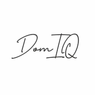 DOMIQ logo
