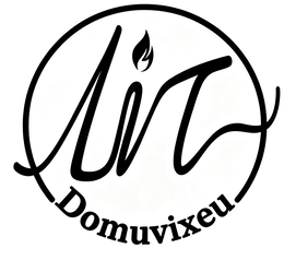 DOMUVIXEU logo