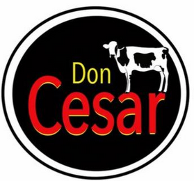 DON CESAR logo