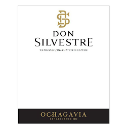 DON SILVESTRE OCHAGAVIA logo