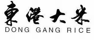 DONG GANG RICE logo