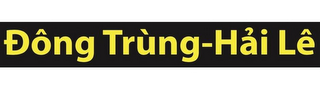 DONG TRUNG-HAI LE logo