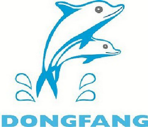 DONGFANG logo