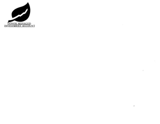 DONOR MANAGED INVESTMENT ACCOUNT logo