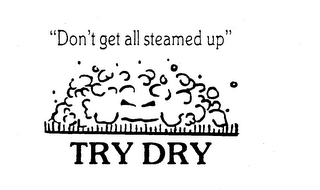 "DON'T GET ALL STEAMED UP" TRY DRY logo