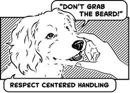 "DON'T GRAB THE BEARD!" RESPECT CENTERED HANDLING logo