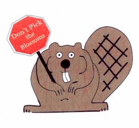 DON'T PICK THE BLOSSOMS logo