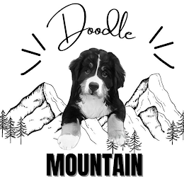 DOODLE MOUNTAIN logo