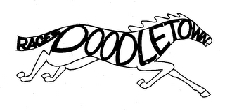 DOODLETOWN RACES logo