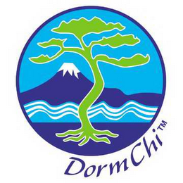 DORMCHI logo