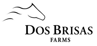 DOS BRISAS FARMS logo