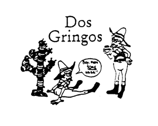 DOS GRINGOS BOY, THAT'S SOME SALSA!! logo