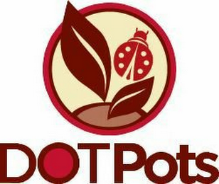 DOTPOTS logo