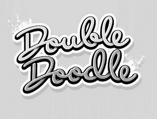 DOUBLE DOODLE logo