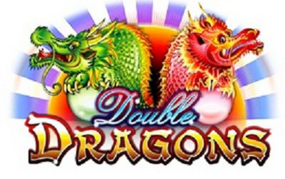 DOUBLE DRAGONS logo