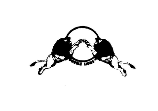 DOUBLE LIONS logo