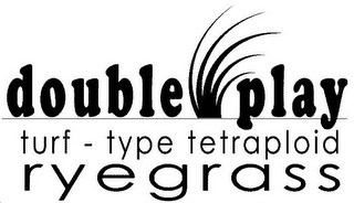 DOUBLE PLAY TURF - TYPE TETRAPLOID RYEGRASS logo