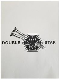 DOUBLE STAR logo