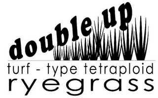 DOUBLE UP TURF - TYPE TETRAPLOID RYEGRASS logo