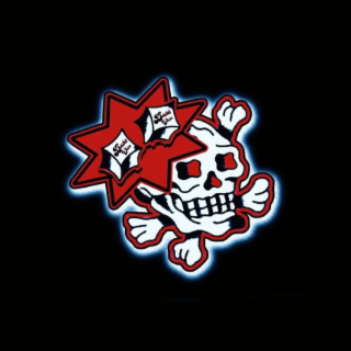 DOUBLE VISION DOUBLE VISION logo