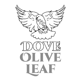 DOVE OLIVE LEAF logo