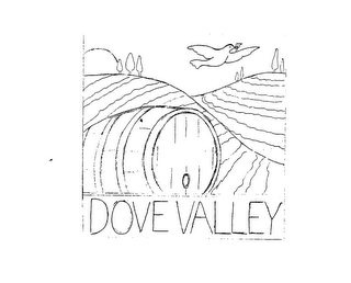 DOVE VALLEY logo