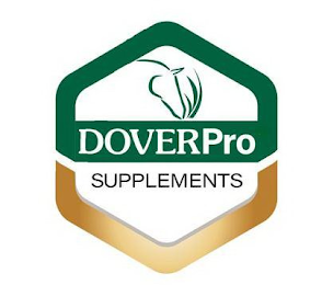 DOVER PRO SUPPLEMENTS logo